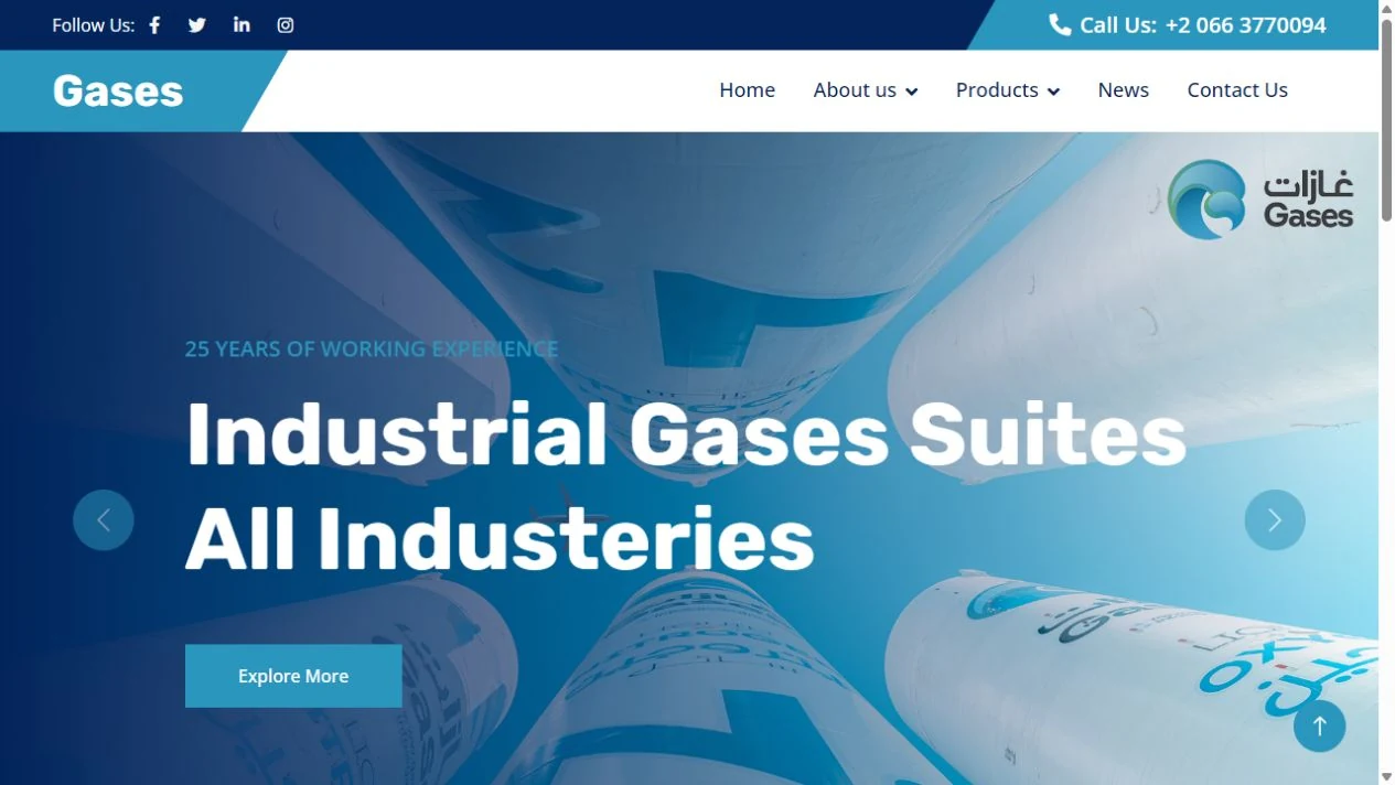 Gases Group Website homepage screenshot